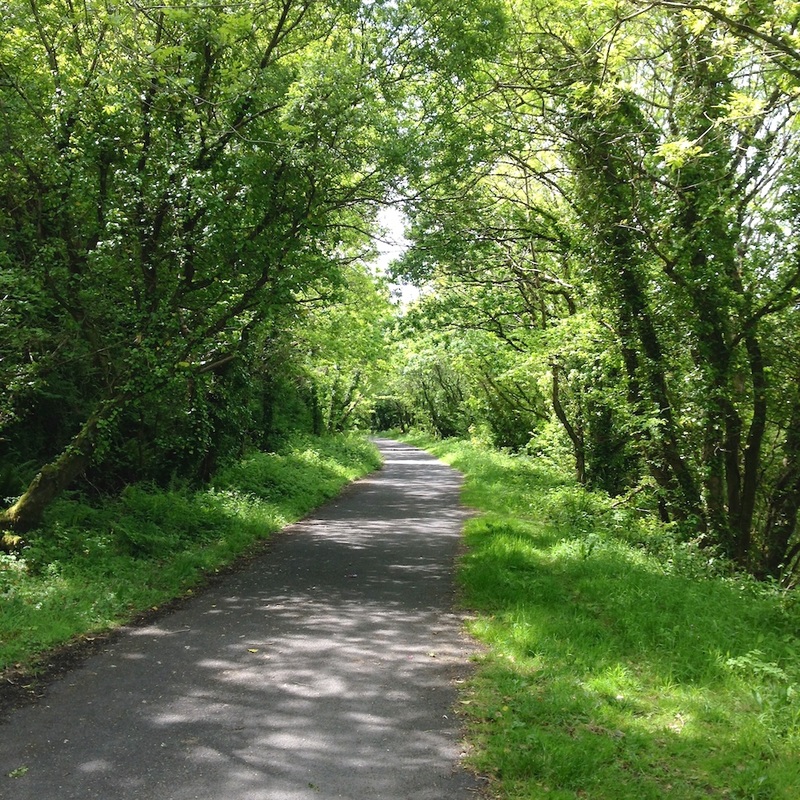 The Tarka Trail - walking holidays north Devon